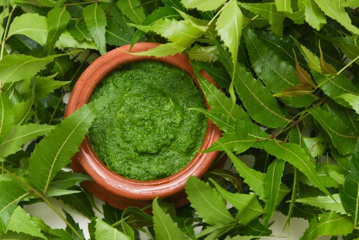 Neem Paste for Hair Fall and Dandruff - Tips